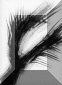 Systmes de bordures